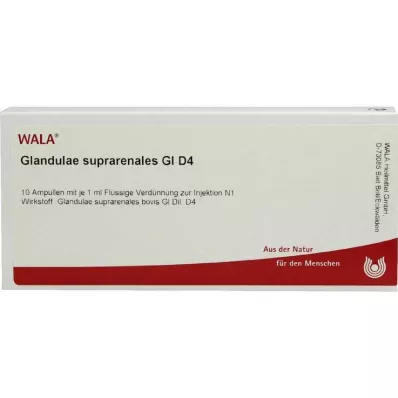 GLANDULAE SUPRARENALES GL D 4 ampullia, 10X1 ml
