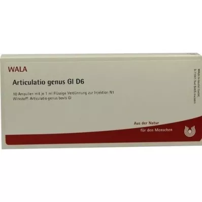 ARTICULATIO suku GL D 6 ampullia, 10X1 ml