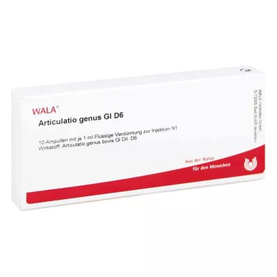 ARTICULATIO suku GL D 6 ampullia, 10X1 ml ARTICULATIO suku GL D 6 ampullia, 10X1 ml