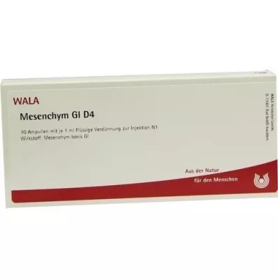 MESENCHYM GL D 4 ampullia, 10X1 ml