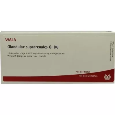 GLANDULAE SUPRARENALES GL D 6 ampullia, 10X1 ml