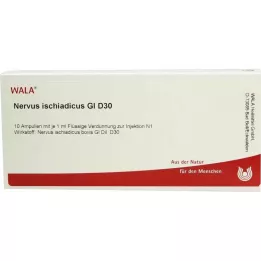 NERVUS ISCHIADICUS GL D 30 ampullia, 10X1 ml