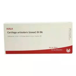 CARTILAGO articularis coxae GL D 6 ampullia, 10X1 ml