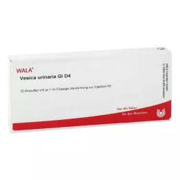 VESICA URINARIA GL D 4 ampullia, 10X1 ml