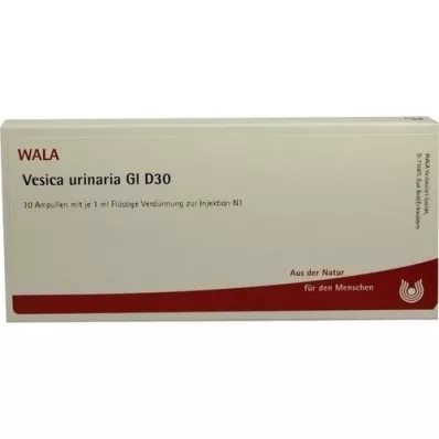 VESICA URINARIA GL D 30 ampullia, 10X1 ml