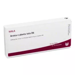 ARNICA E Planta tota D 6 Ampullit, 10X1 ml