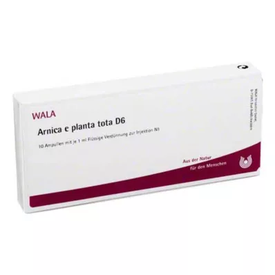 ARNICA E Planta tota D 6 Ampullit, 10X1 ml