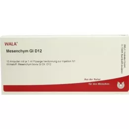 MESENCHYM GL D 12 ampullia, 10X1 ml