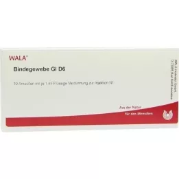 BINDEGEWEBE GL D 6 ampullia, 10X1 ml