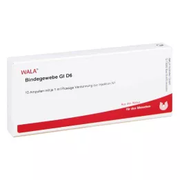 BINDEGEWEBE GL D 6 ampullia, 10X1 ml