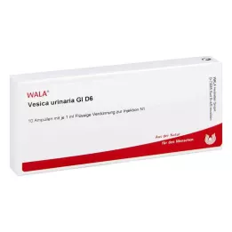 VESICA URINARIA GL D 6 ampullia, 10X1 ml