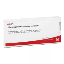 MANDRAGORA OFFICINARIUM e radice D 6 Ampullit, 10X1 ml