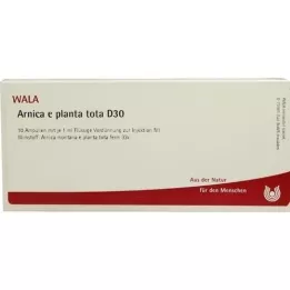 ARNICA E Planta tota D 30 ampullia, 10X1 ml