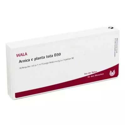 ARNICA E Planta tota D 30 ampullia, 10X1 ml