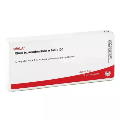 RHUS TOXICODENDRON E foliis D 6 Ampullit, 10X1 ml