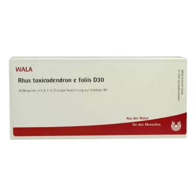 RHUS TOXICODENDRON E foliis D 30 Ampullia, 10X1 ml