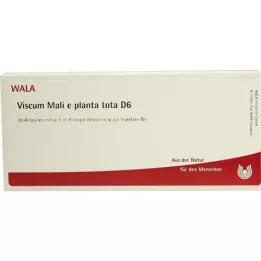 VISCUM MALI e planta tota D 6 Ampullia, 10X1 ml