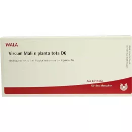 VISCUM MALI e planta tota D 6 Ampullia, 10X1 ml