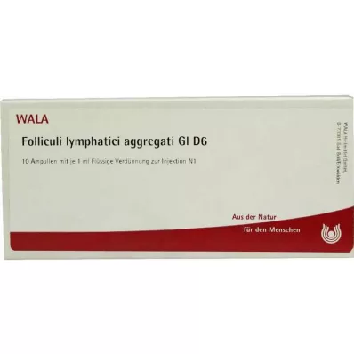 FOLLICULI LYMPHATICI aggregaatti GL D 6 ampullia, 10X1 ml FOLLICULI LYMPHATICI aggregaatti GL D 6 ampullia, 10X1 ml