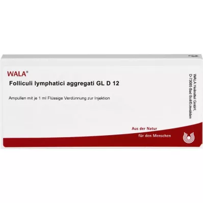 FOLLICULI LYMPHATICI aggregaatti GL D 12 ampullia, 10X1 ml
