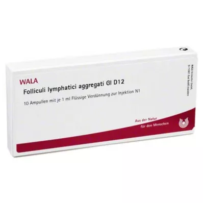FOLLICULI LYMPHATICI aggregaatti GL D 12 ampullia, 10X1 ml FOLLICULI LYMPHATICI aggregaatti GL D 12 ampullia, 10X1 ml