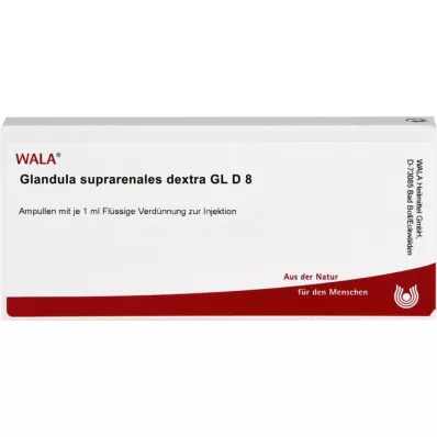 GLANDULA SUPRARENALES dextra GL D 8 ampullia, 10X1 ml