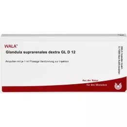 GLANDULA SUPRARENALES dextra GL D 12 ampullia, 10X1ml