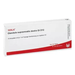 GLANDULA SUPRARENALES dextra GL D 12 ampullia, 10X1ml