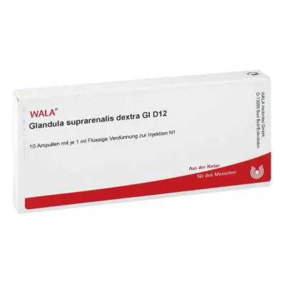 GLANDULA SUPRARENALES dextra GL D 12 ampullia, 10X1ml