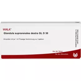 GLANDULA SUPRARENALES dextra GL D 30 ampullia, 10X1 ml