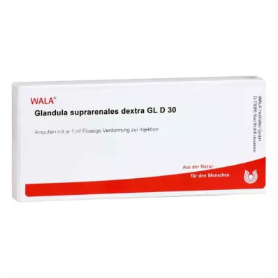 GLANDULA SUPRARENALES dextra GL D 30 ampullia, 10X1 ml