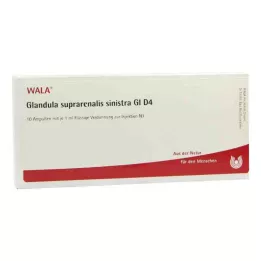 GLANDULA SUPRARENALIS sinistra GL D 4 ampullia, 10X1 ml