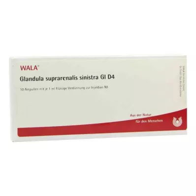 GLANDULA SUPRARENALIS sinistra GL D 4 ampullia, 10X1 ml