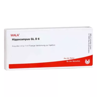 HIPPOCAMPUS GL D 6 ampullia, 10X1 ml