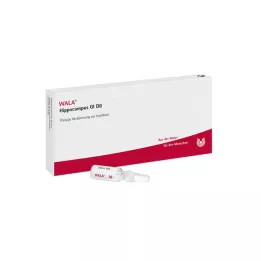 HIPPOCAMPUS GL D 8 Ampullit, 10X1 ml