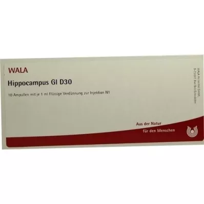 HIPPOCAMPUS GL D 30 ampullia, 10X1 ml