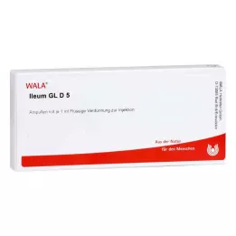 ILEUM GL D 5 ampullia, 10X1 ml