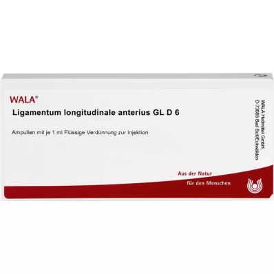 LIGAMENTUM LONGITUDINALE anterius GL D 6 ampullia, 10X1 ml
