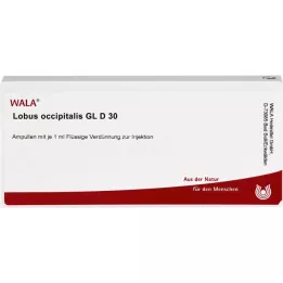 LOBUS occipitalis GL D 30 ampullia, 10X1ml