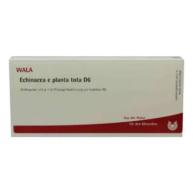 ECHINACEA E planta tota D 6 ampullia, 10X1 ml ECHINACEA E planta tota D 6 ampullia, 10X1 ml