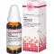 CARBO VEGETABILIS D 6 Laimennus, 20 ml