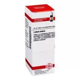 LEDUM EXTERN Tinktuura, 20 ml