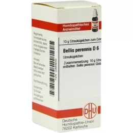 BELLIS PERENNIS D 6 palloa, 10 g