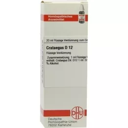 CRATAEGUS D 12 Laimennus, 20 ml