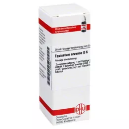 EQUISETUM ARVENSE D 6 Laimennus, 20 ml