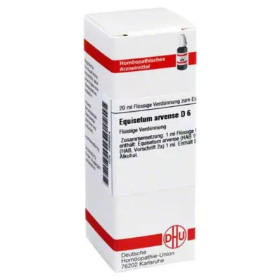 EQUISETUM ARVENSE D 6 Laimennus, 20 ml