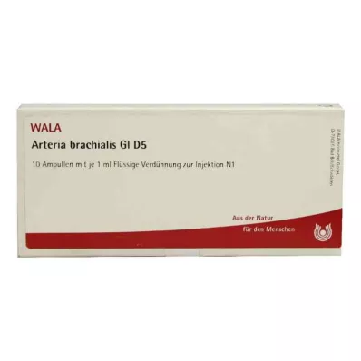 ARTERIA BRACHIALIS GL D 5 ampullia, 10X1 ml