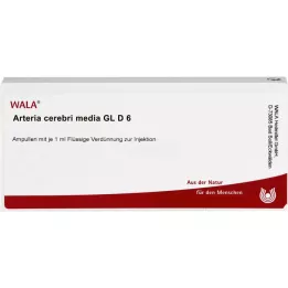 ARTERIA CEREBRI väliaine GL D 6 ampullia, 10X1 ml