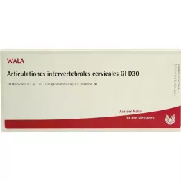 ARTICULATIONES nikamaväli.GL D 30 Amp., 10X1 ml