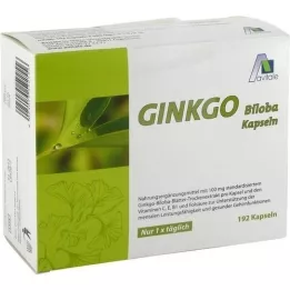 GINKGO 100 mg kapselit+B1+C+E, 192 kpl